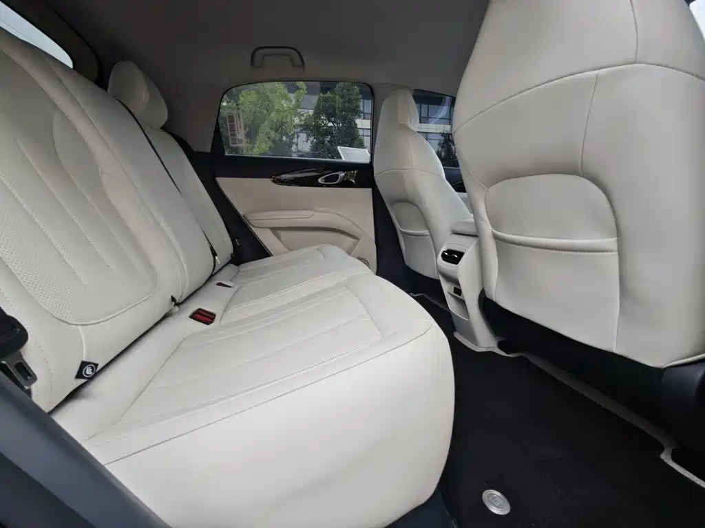 Geely Galaxy Starry Wish 2026 2026 Model 310km Dream Edition