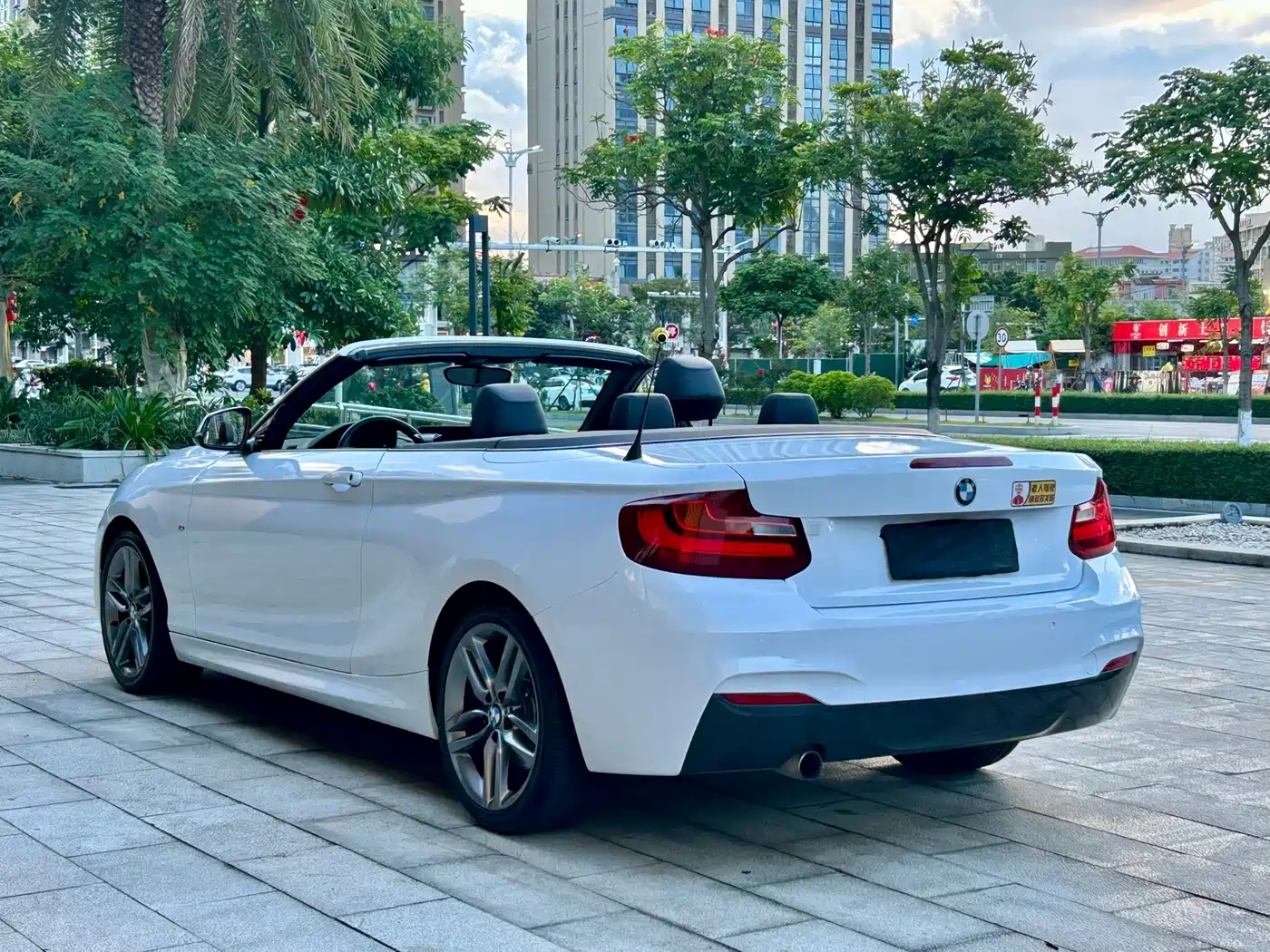 Photo 7 - BMW 2 Series (Import)