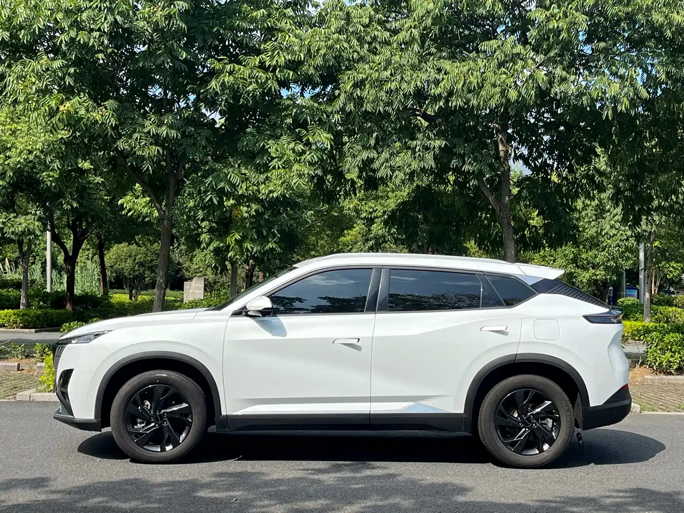 Dongfeng Aeolus Haohan 2024 2025 1.5T Luxury