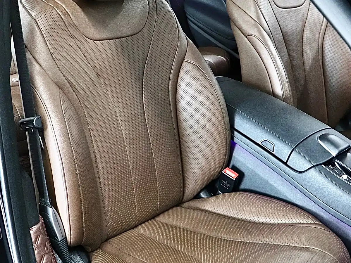 Mercedes-Benz S-Class 2020 S 350 L Business Edition Collector's Version фото 16