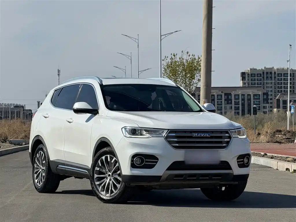 Haval H6 2017 Blue Label 2.0T Automatic 2WD Smart Edition фото 25