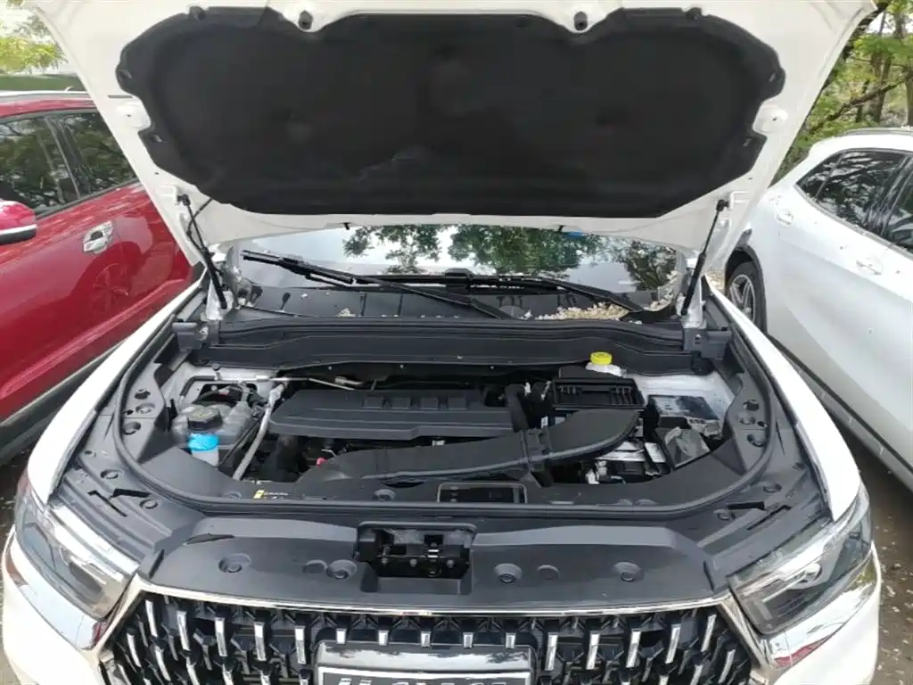 Haval H6 2023 National Trend Edition 1.5T Automatic Champion фото 20