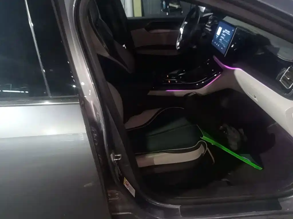 BYD Qin PLUS 2021 2021 EV 500KM Premium Model