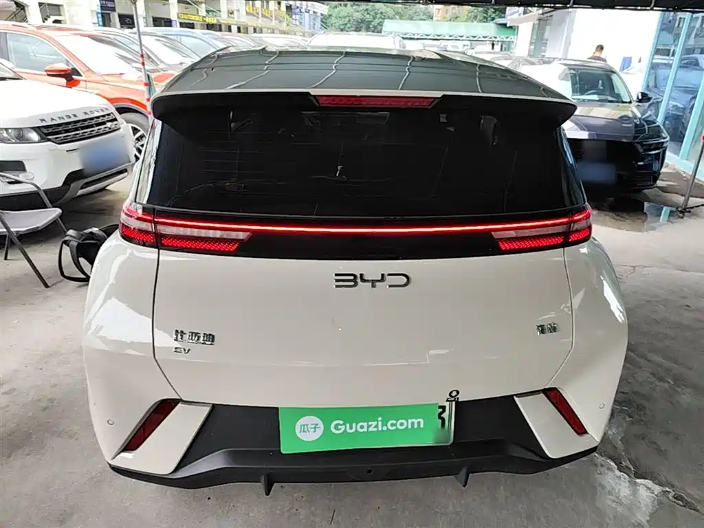 BYD Seagull 2024 Glory Edition 305km Vitality Edition фото 6