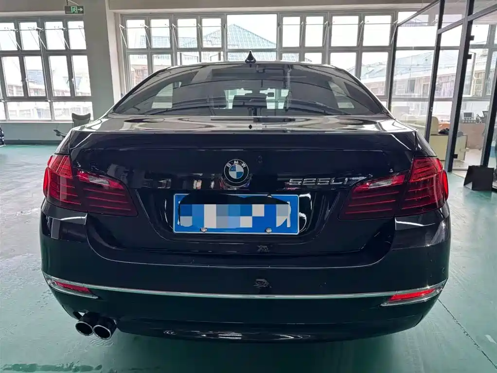 BMW 5 Series 2017 525Li Luxury Design Package фото 14