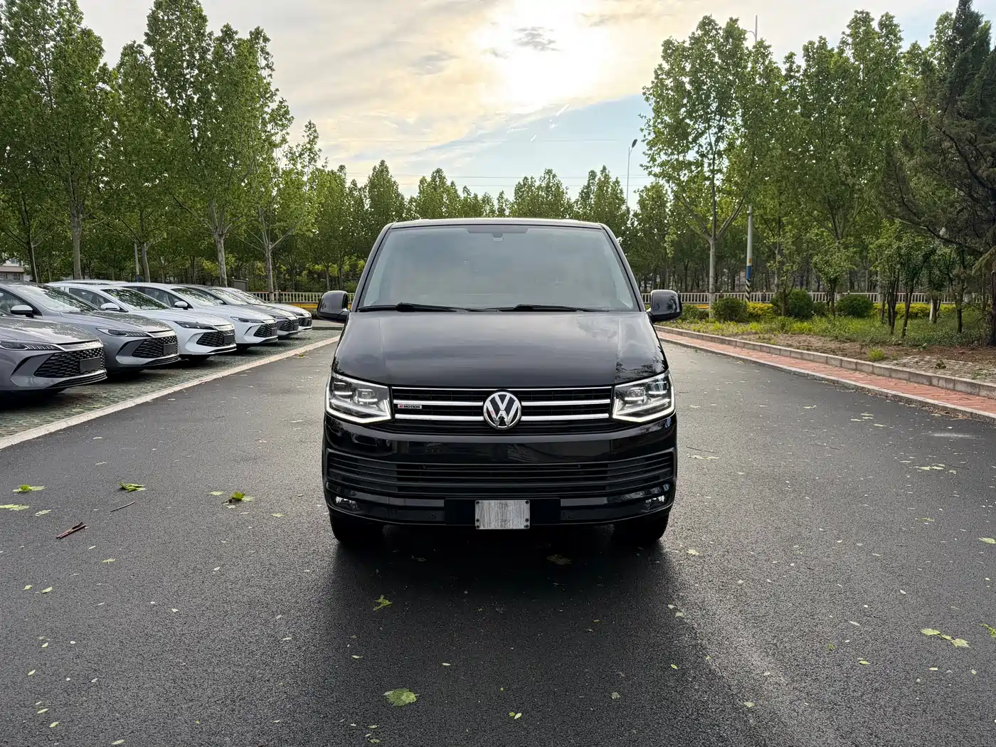 Volkswagen Caravelle 2018 2.0TSI 4WD Luxury Edition 7-Seater фото 2