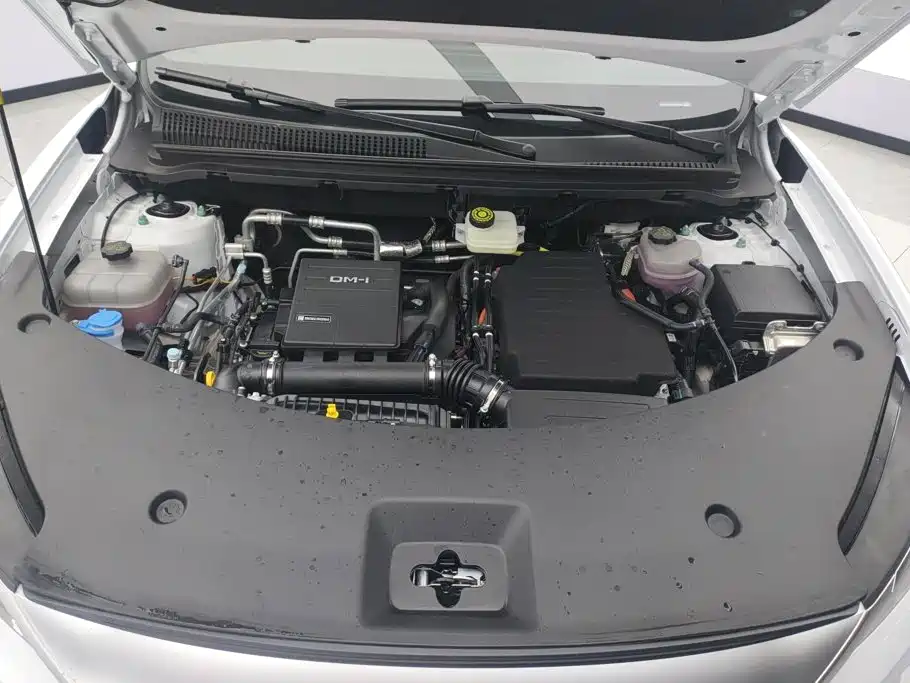 BYD Song Pro New Energy 2026 2026 DM-i Long Range Edition