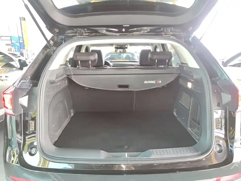 Haval H4 2020 2020 Enjoy Edition 1.5T Manual Smart