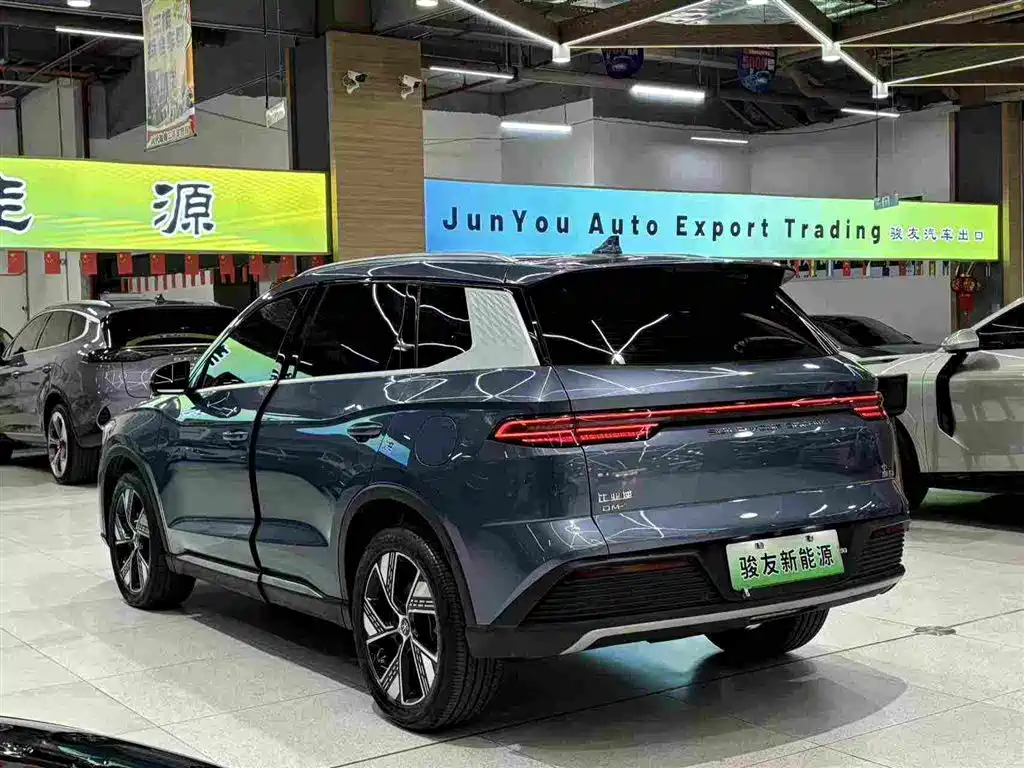 Фото 9 - BYD Song Pro New Energy