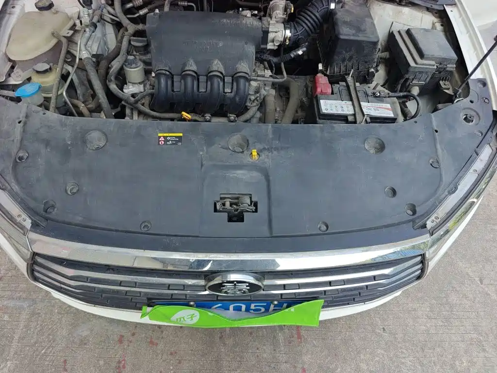 BYD Qin 2021 2019 1.5L Automatic Luxury Edition