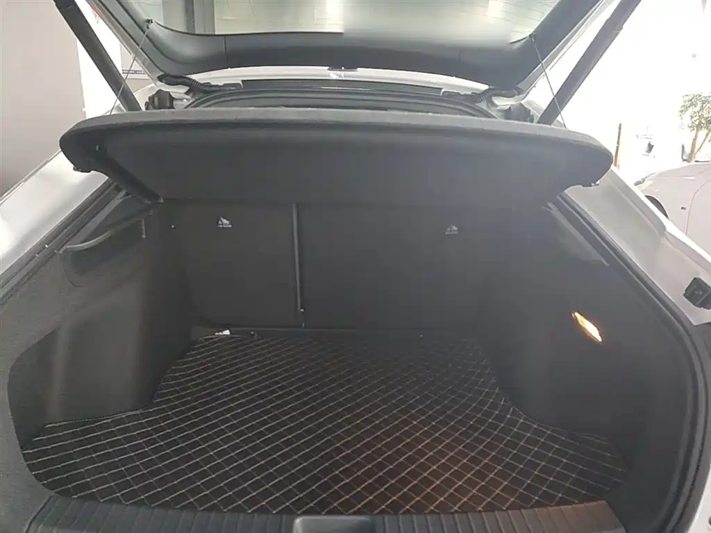 VOLKSWAGEN LINGDU