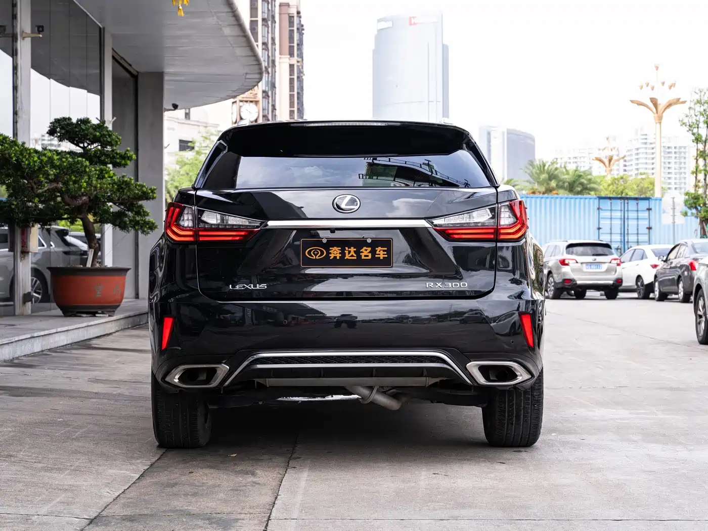 Lexus RX 2017 300 Mark Levinson AWD F SPORT China V фото 5