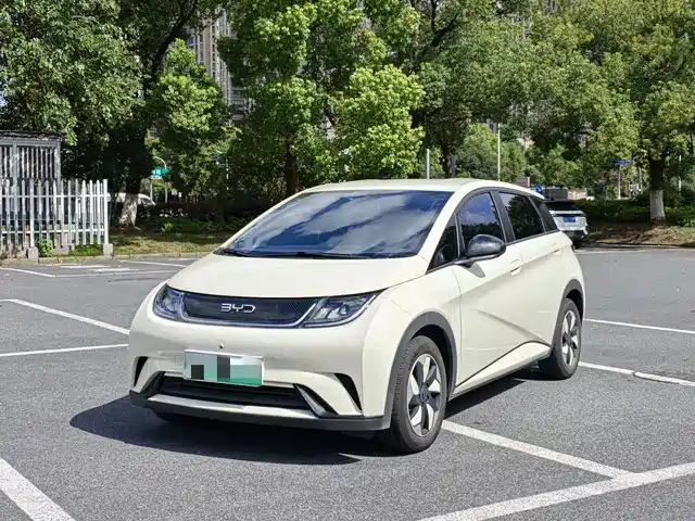 BYD Dolphin 420km, Свобода