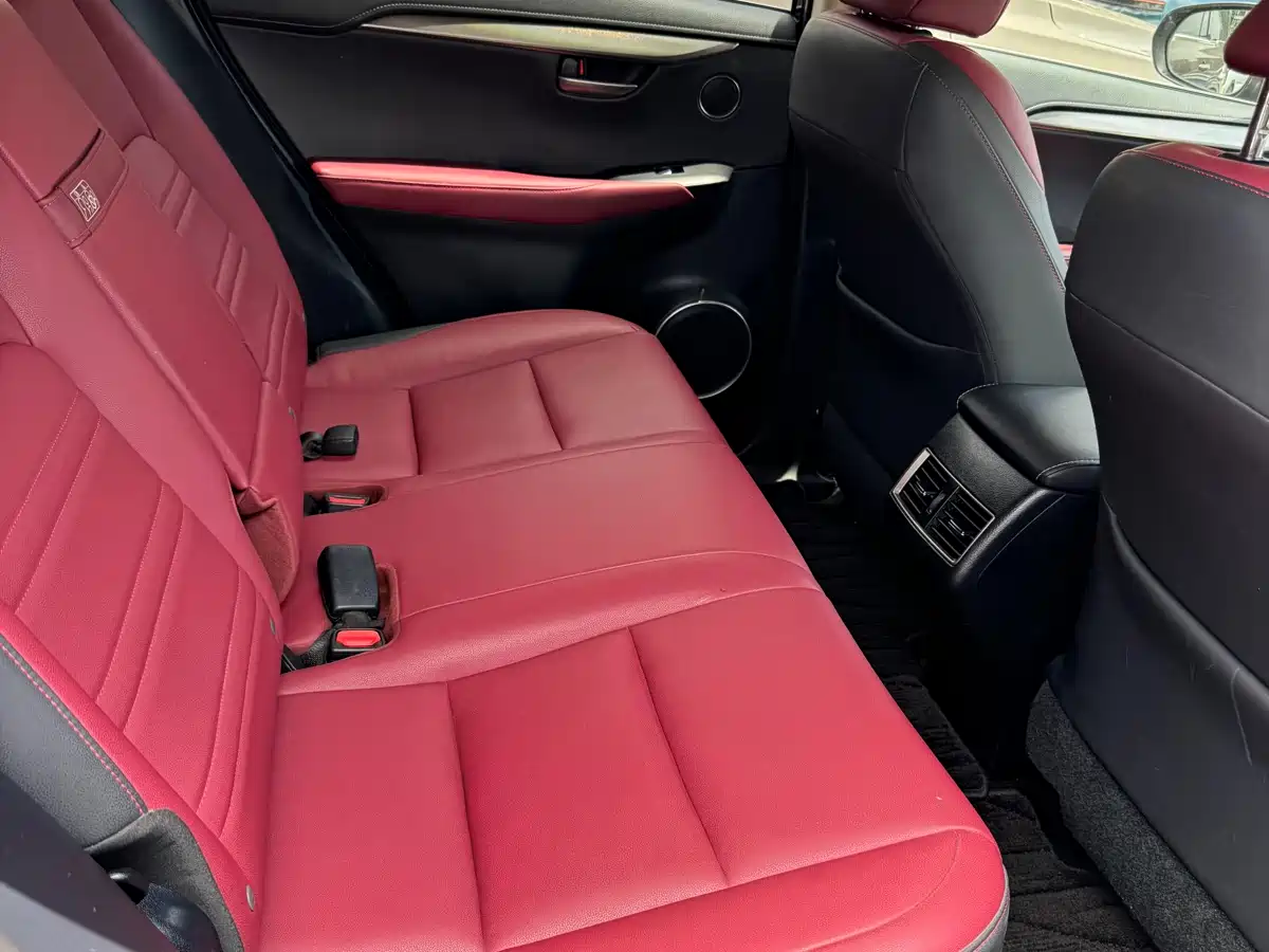 Lexus NX 2020 200 AWD F Sport China VI фото 16