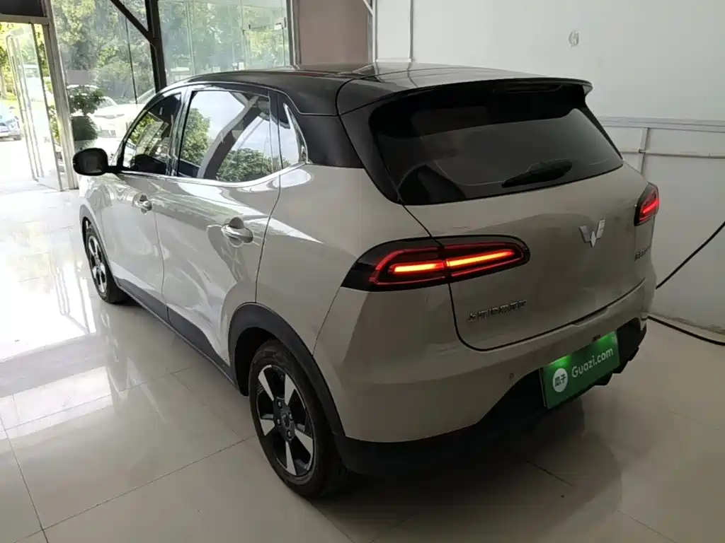 Wuling Motors Wuling Binguo PLUS 2025 2024 Model 330km 5-Seater