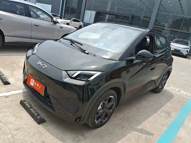 BYD Seagull 2025 Smart Drive Edition 305km Freedom Version — фото 1