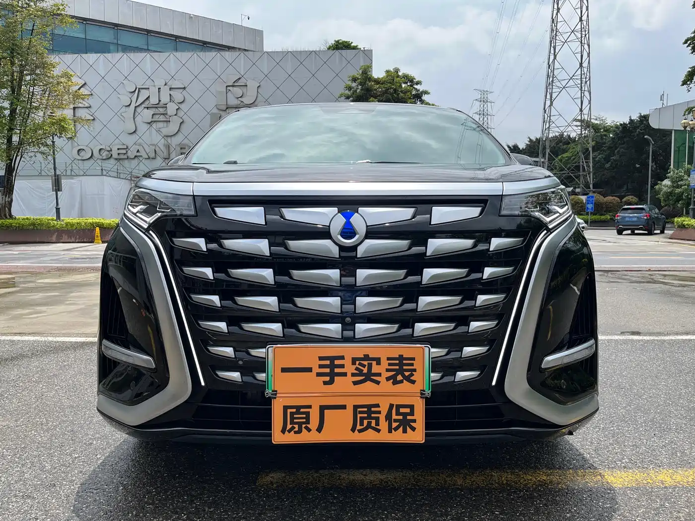 Denza D9 2022 DM-i 970 AWD Flagship