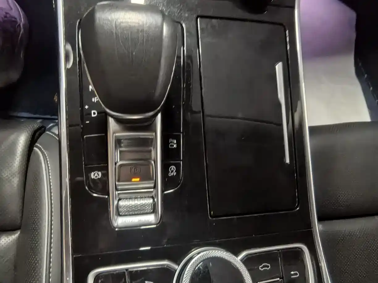 Hongqi H9 2020 2.0T Smart Connection Qi Xiang Edition фото 9