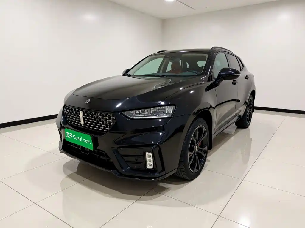 2021 WEY VV7