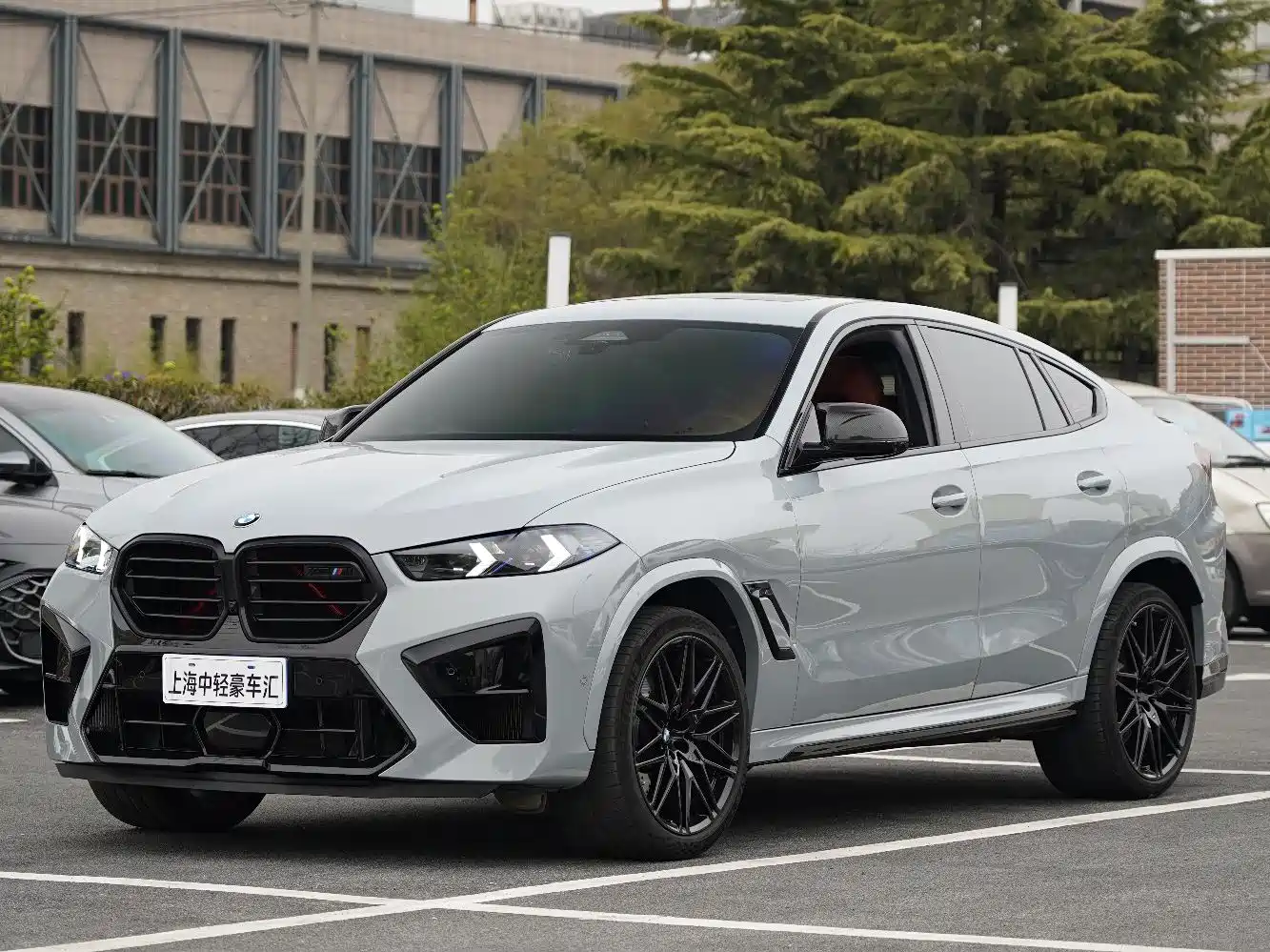 BMW X6 M