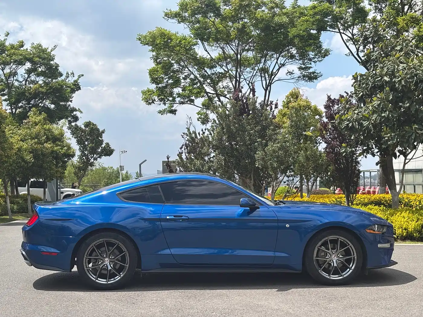 FORD MUSTANG