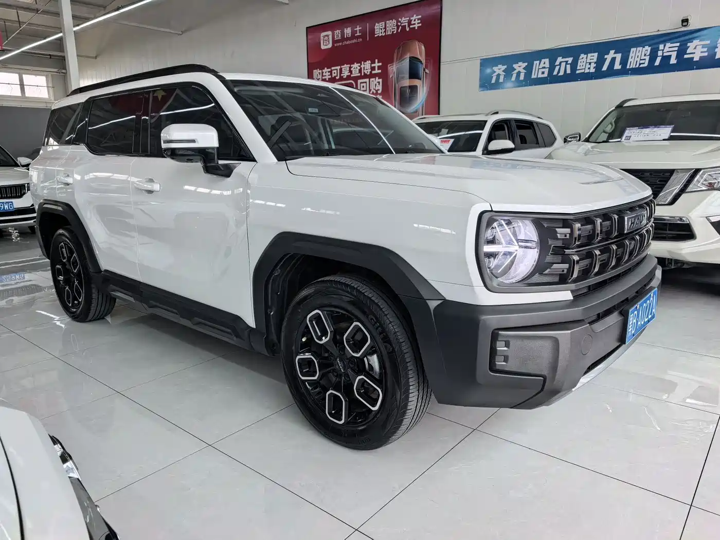 Haval Cool Dog 2023 2022 1.5T DCT 2WD Trend Edition