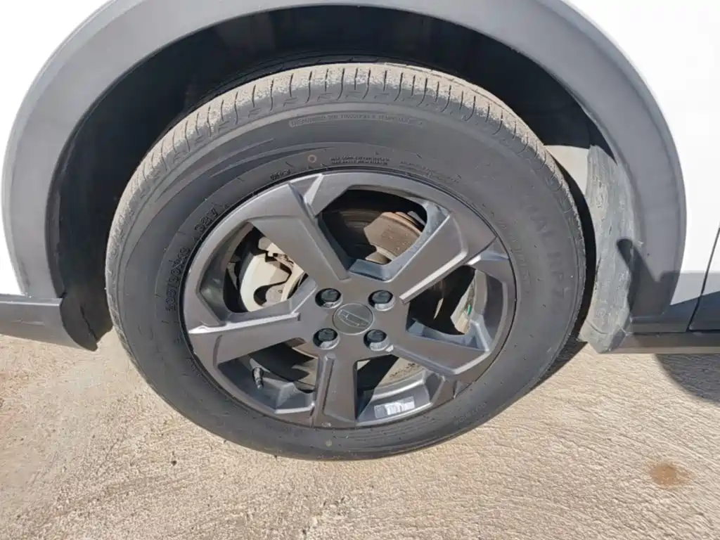 Geely Geometry E Firefly 2022 2022 320KM Well-behaved Tiger 4-seater