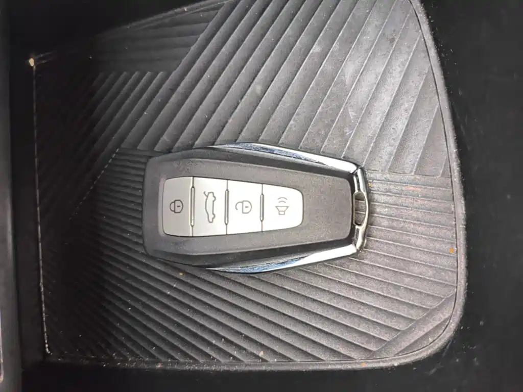 Geely Geometry E Firefly 2024 2024 401km Starlight