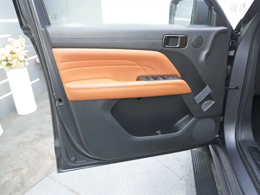 Haval H9 2024 2.0T Gasoline AWD Extreme Edition фото 19