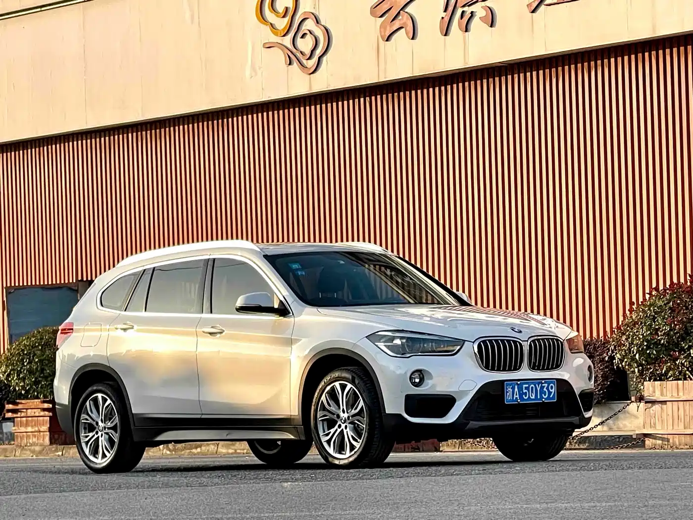BMW X1 2019 sDrive20Li Leading Model фото 9