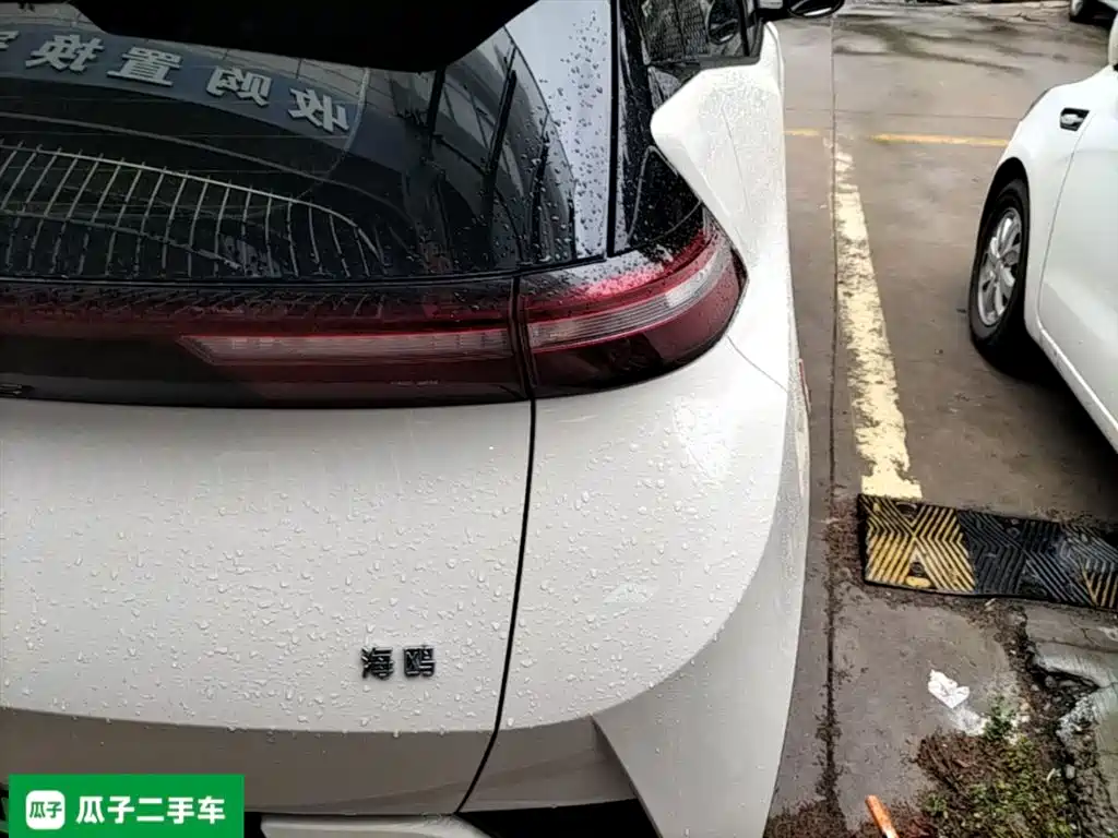 BYD Seagull 2025 305km Vitality фото 24