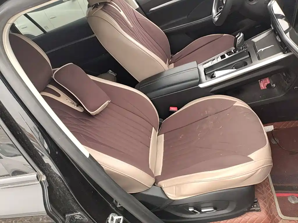 Roewe RX5 MAX 2022 2022 1.5T Auto Promising Premium Edition