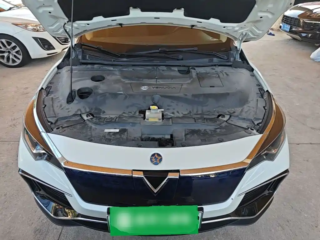 Venucia D60EV 2023 2023 PLUS Comfort RJ Type