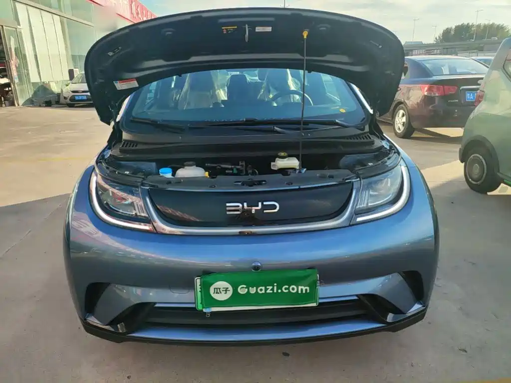 BYD Dolphin 2026 2025 420km Freedom Edition