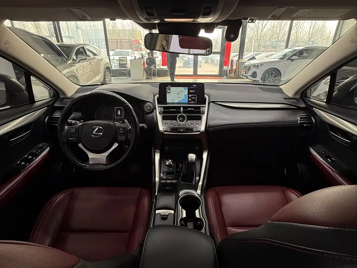 LEXUS NX