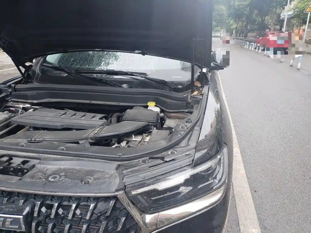 Haval H6 2023 National Trend Edition 1.5T Automatic Urban фото 22
