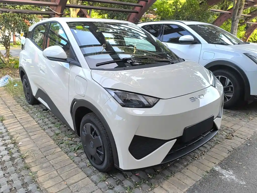 2026 BYD Seagull