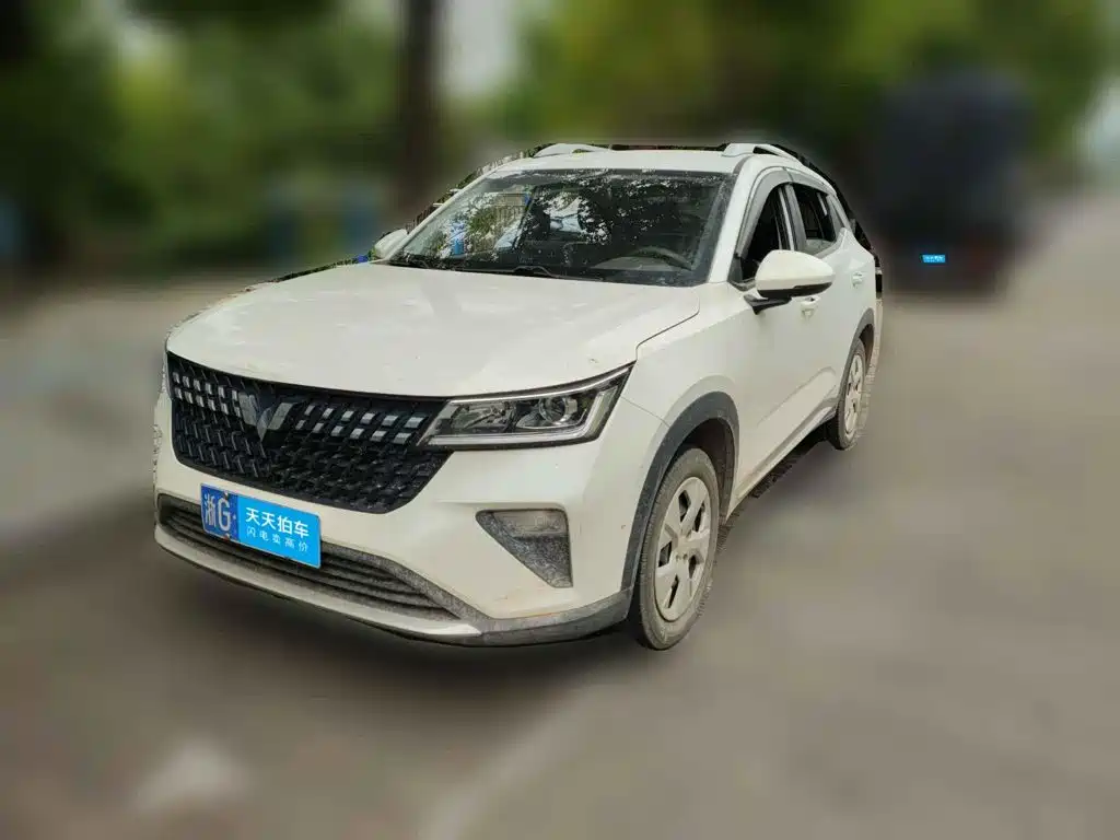Wuling Motors Wuling Xingchi 2024 2022 1.5L Manual Freedom Edition