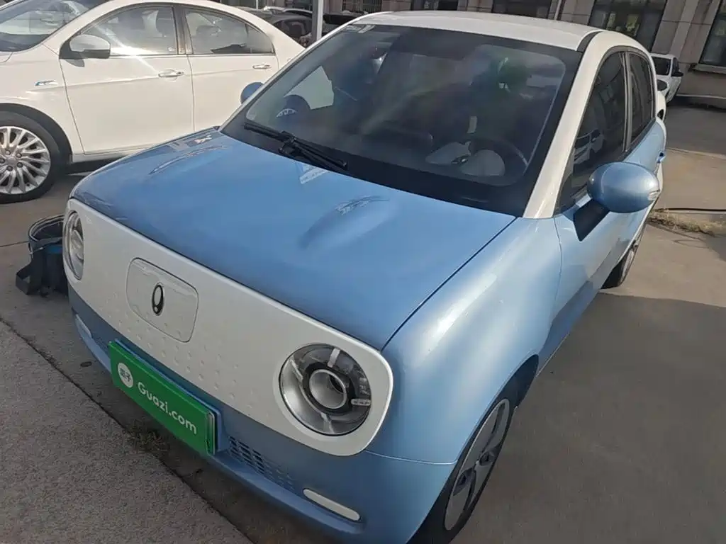 Ora Black Cat 2022 2021 351km Luxury Model