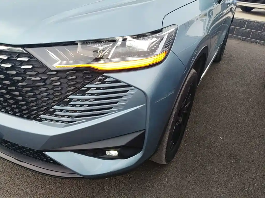 Haval H6 New Energy 2022 2023 DHT-PHEV 110KM Joy Ride Edition