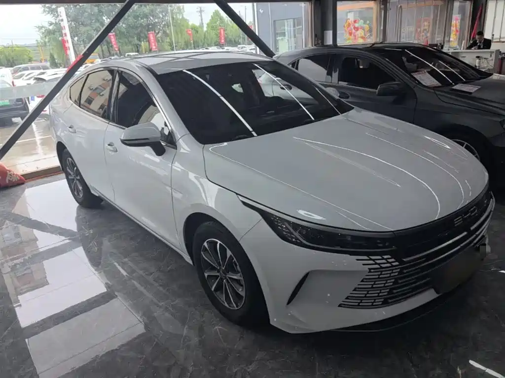 BYD Destroyer 05 2024 Glory Edition DM-i 55KM Luxury фото 4