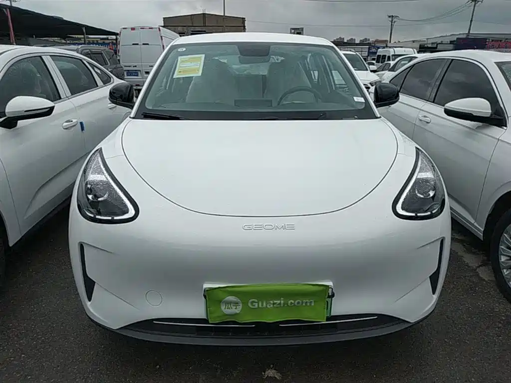 Geely Galaxy Starry Wish 2026 Edition 310km Youth Version фото 3