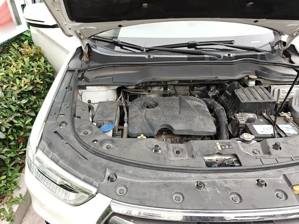 Haval H2 2019 2018 Creation Edition Blue Label 1.5T Manual 2WD Style