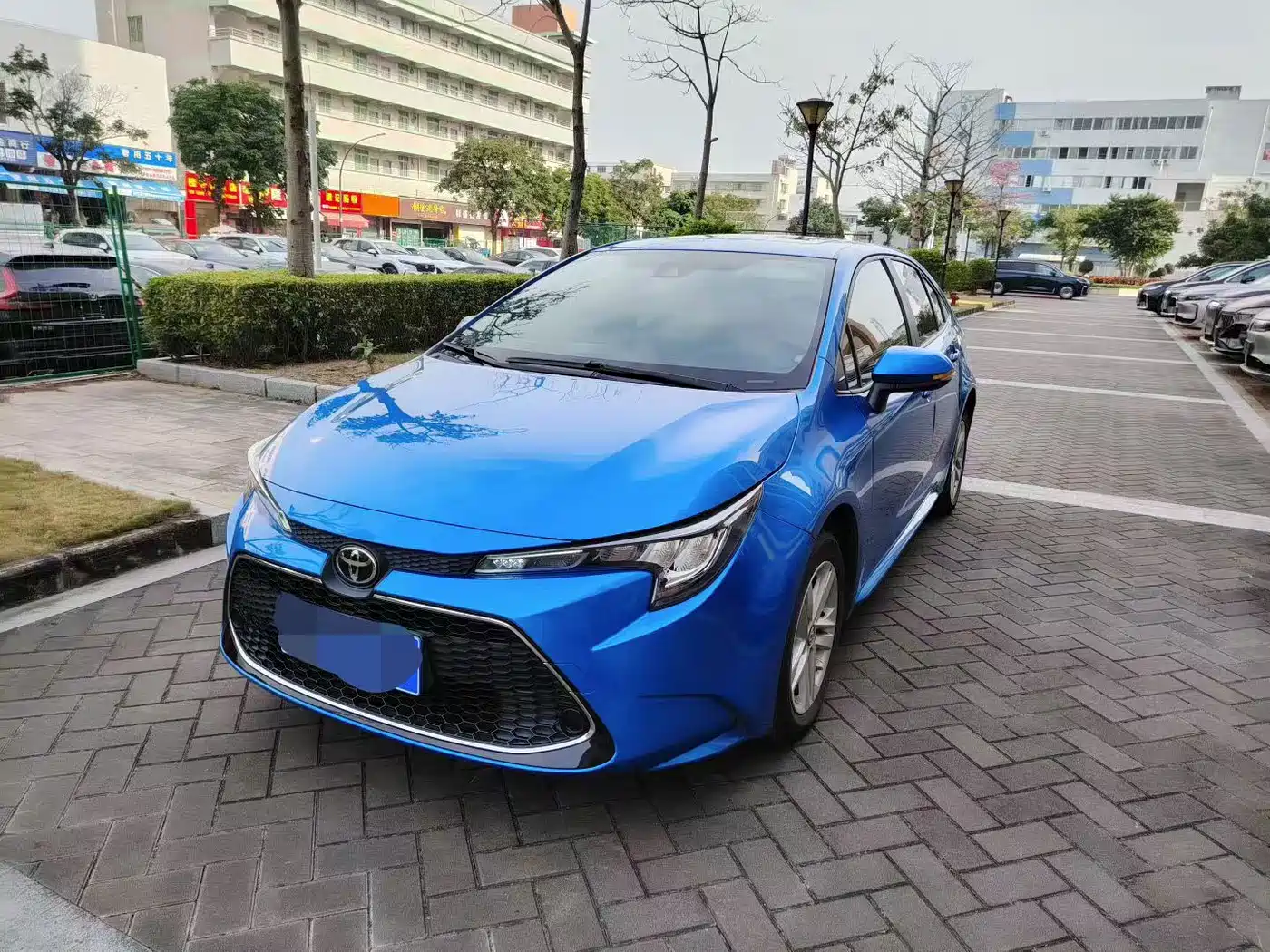 Toyota Levin 2019 185T CVT Luxury Edition China V