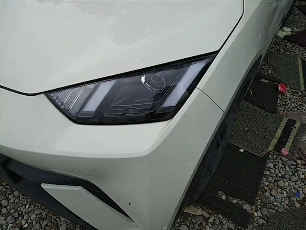 BYD Seagull 2024 Glory Edition 305km Vitality Edition фото 24