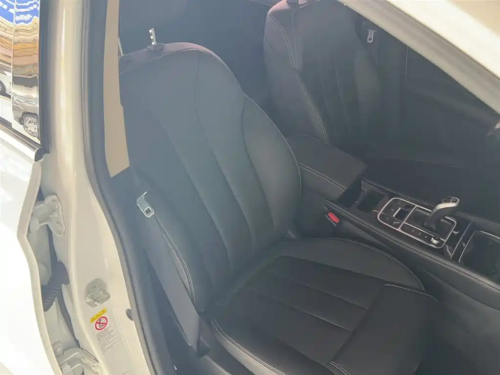 BYD Song MAX 2021 Upgrade 1.5T Automatic Luxury Edition 7-Seater фото 4