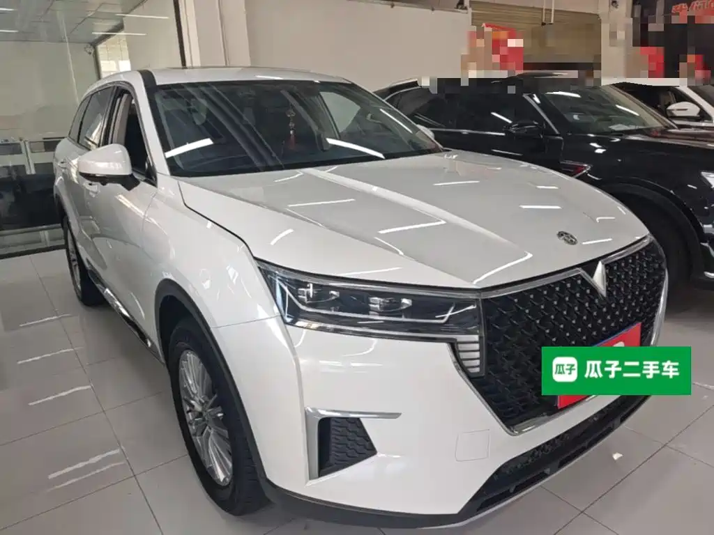 Venucia Star 2023 2023 260T Starshine Edition Pro