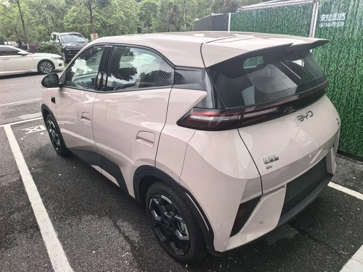 BYD Seagull 2025 Smart Drive Edition 305km Freedom Version фото 4
