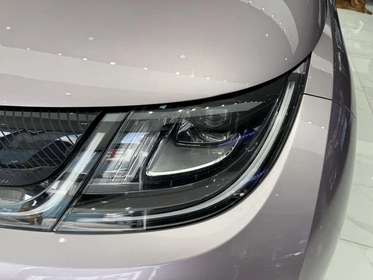 BYD Dolphin 2024 Glory Edition 420km Fashion Edition фото 27