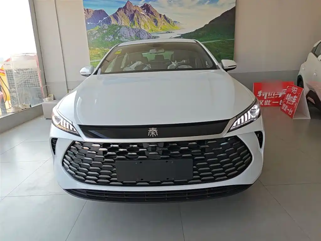 BYD Qin PLUS 2026 DM-i Smart Edition 128KM Progressive фото 3